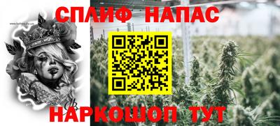мдпв Нальчик