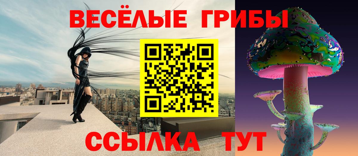 Псилоцибиновые грибы мухоморы Туапсе