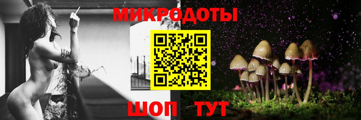 Туапсе  Псилоцибиновые грибы MAGIC MUSHROOMS  Вход с VPN 